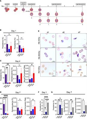 Heme promotes sexual conversion of Plasmodium falciparum in human erythrocytes